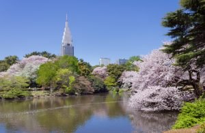 Taman Terindah Di Tokyo
